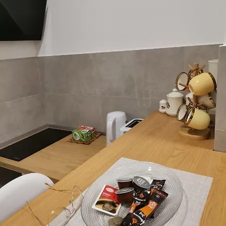 Apartment Pupin Palata Business B15 *
