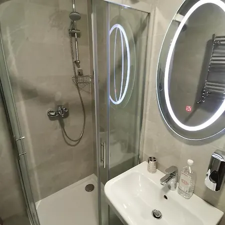 Apartment Pupin Palata Business B15 *