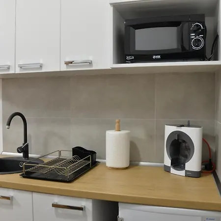 Pupin Palata Business B15 Daire Novi Sad