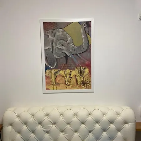 Pupin Palata Business B15 Daire *